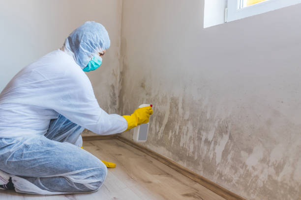 Licensed Mold Inspection service in East Brunswick, NJ - WQB Mold Removal