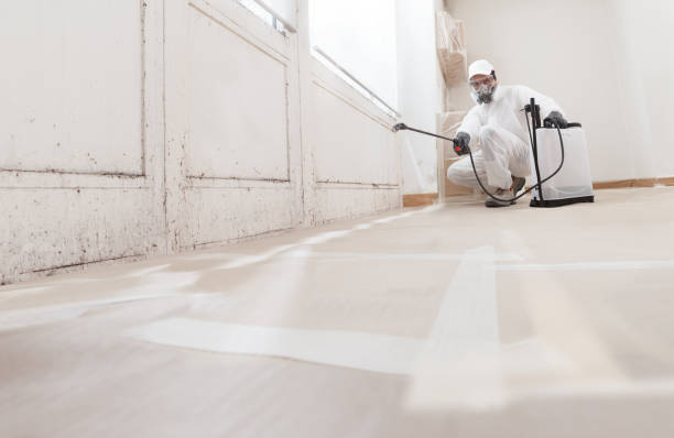 Trusted Mold Inspection service in East Brunswick, NJ - WQB Mold Removal
