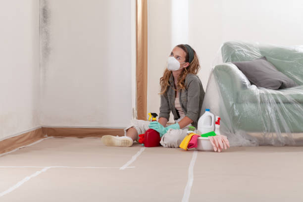 Reliable Mold Inspection contractor in East Brunswick, NJ by WQB Mold Removal